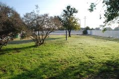 Picture of our Dog Park