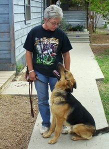 Student Trains German Shepherd Dog