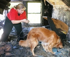 Gypsy & Cindy search a fire scene